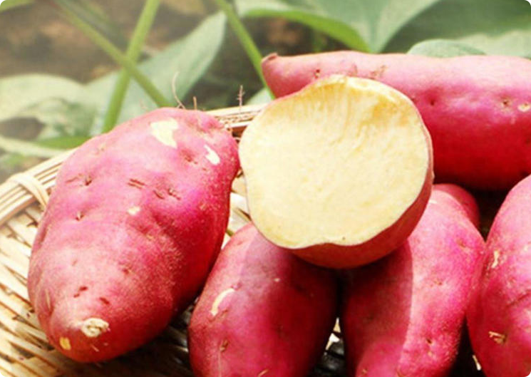 糖尿病人想吃红薯，一天可以吃多少？怎么吃？