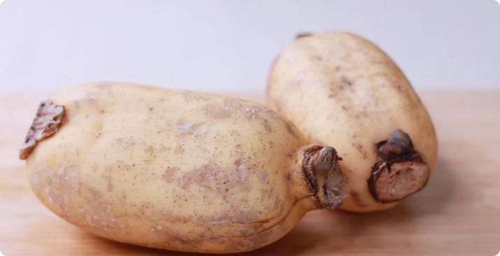 血糖偏高的人，4种食物要“拒之门外”，血糖才会乖乖听话