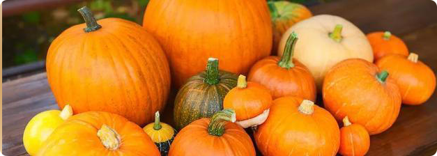 吃南瓜降糖？哪种南瓜最好？怎么吃利于血糖平稳！