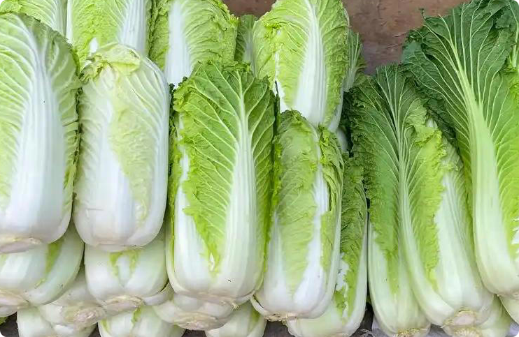 白菜是糖尿病导火索？提醒：若想胰岛强壮，这5物能不吃就不吃！