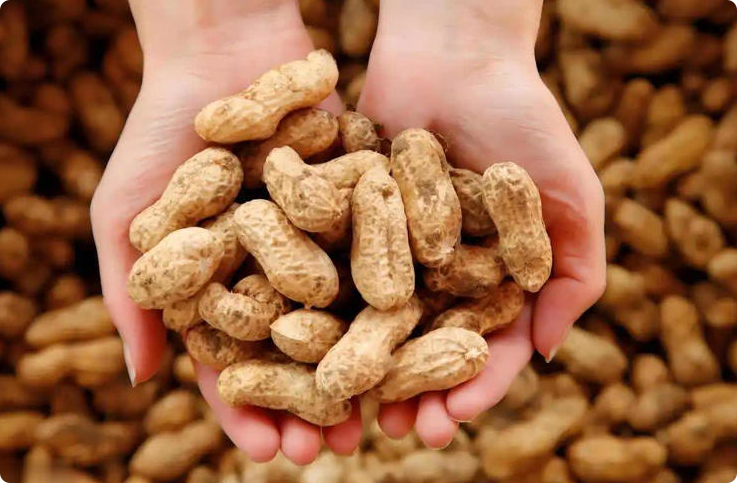 花生成焦点！医生：糖尿病人吃花生或有5个身体好处