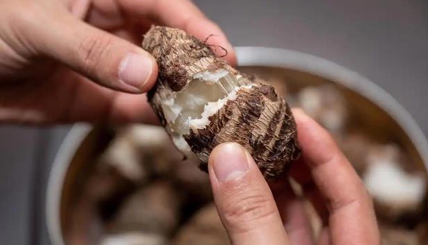 芋头再次被关注! 医生直言：血糖高的人常吃芋头，或有这4大好处