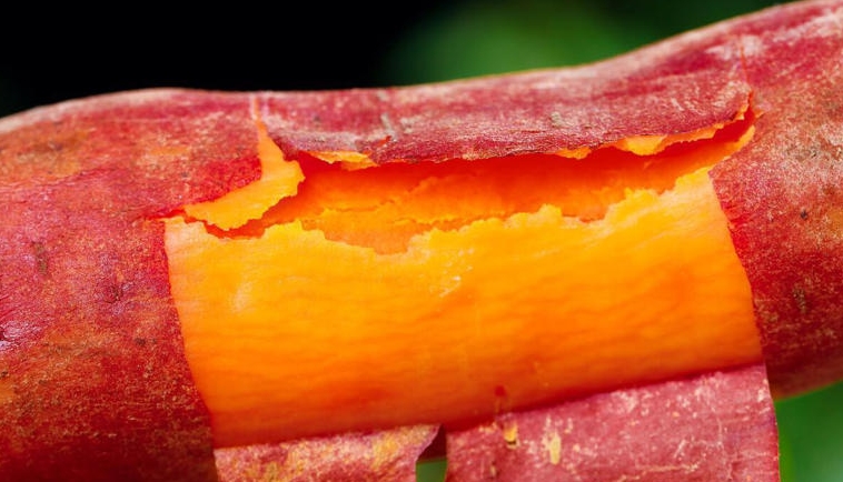 经常吃红薯，是升血糖还是降血糖?早看，早了解