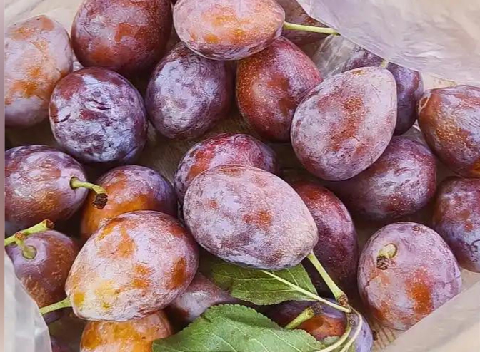 调查研究：糖尿病患者常吃西梅，可降低3种并发症风险