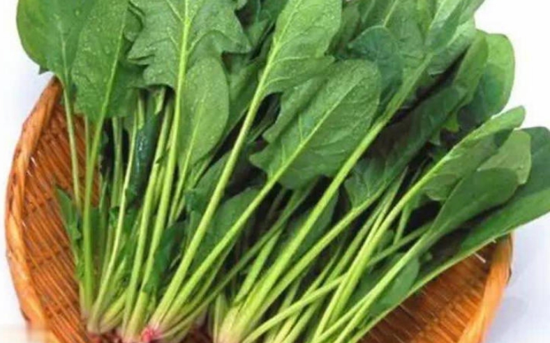 菠菜是血糖“抑制剂”?高血糖人群或可多吃